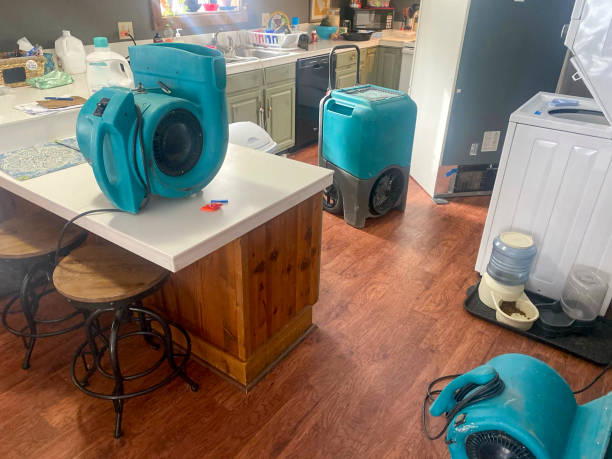 Best Water damage restoration process  in Catawba, SC