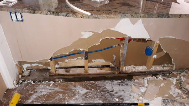 Best Flood restoration services  in Catawba, SC