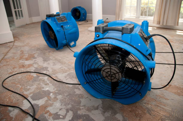 Best Water damage restoration near me  in Catawba, SC
