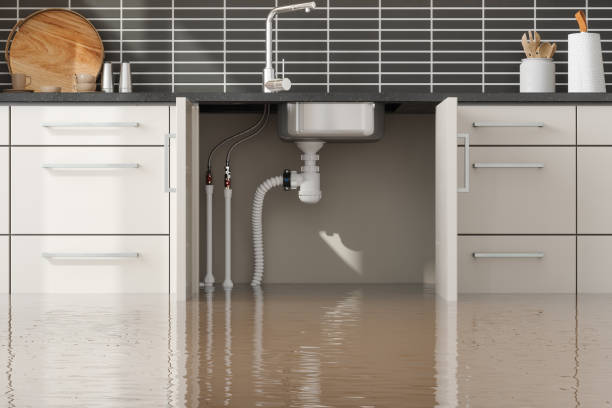 Best Water damage restoration specialists  in Catawba, SC